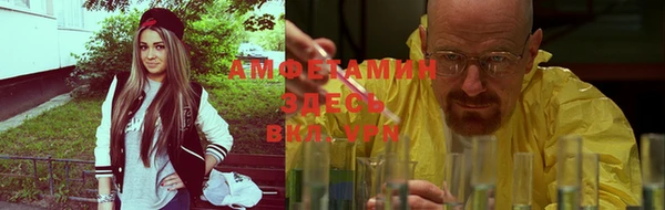 ПСИЛОЦИБИНОВЫЕ ГРИБЫ Алзамай