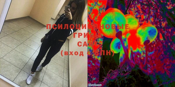 ПСИЛОЦИБИНОВЫЕ ГРИБЫ Алзамай