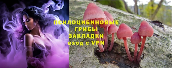 ПСИЛОЦИБИНОВЫЕ ГРИБЫ Алзамай