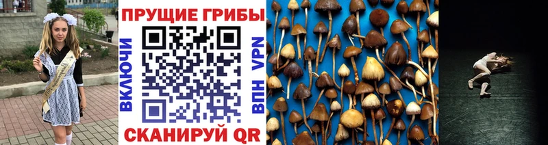 Галлюциногенные грибы ЛСД  Красноярск 